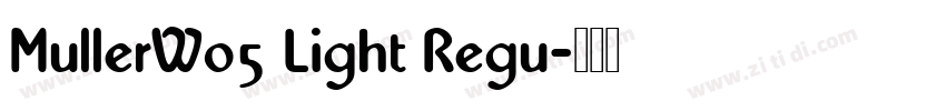 MullerW05 Light Regu字体转换